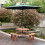 Outsunny Outsunny 6 Seater Wooden Picnic Table 6