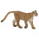 Puma-figuuri 1