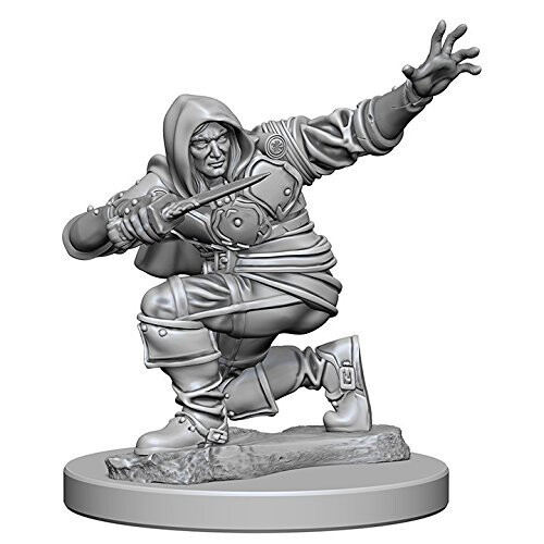 Pathfinder: Deep Cuts Unpainted Miniatures: Human Male Rogue