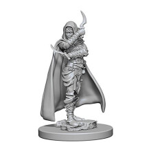 WizKids Pathfinder Deep Cuts Unpainted Miniatures Human Female Rogue