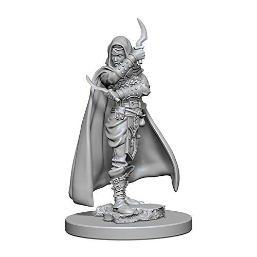 WizKids Pathfinder Deep Cuts Unpainted Miniatures Human Female Rogue
