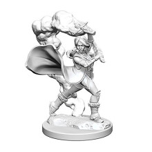 WizKids Pathfinder Gleboko tnie niepomalowane miniatury: Fala 1: Ludzka duchowna kobieta