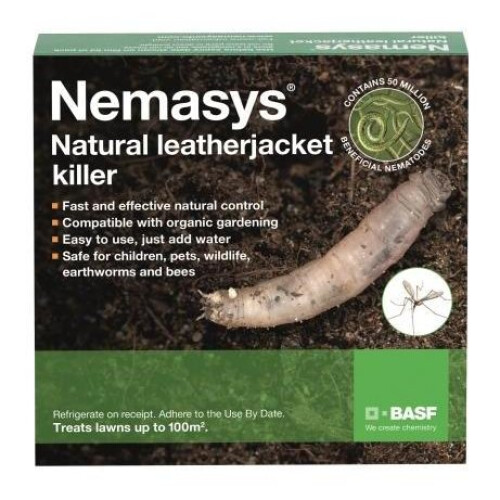 Nemasys Leatherjacket Killer