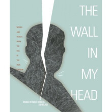 Wall in My Head, The (Words Without Borders Anthologies)