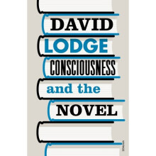 Consciousness And The Novel