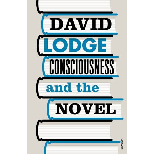 Consciousness And The Novel