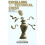 Excelling at Technical Chess 1