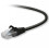 Belkin Belkin A3L791-S 2m Black networking cable 1