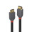 Cavo DisplayPort 1.4 LINDY - Anthra Line - 2m 1