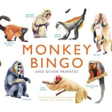 Monkey Bingo: And Other Primates (Magma for Laurence King) - Book