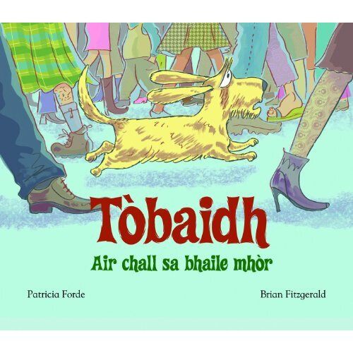 Tobaidh Air Chall Sa Bhaile Mhor