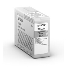 EPSON Cartridge T850900 - Zwart - 80ml