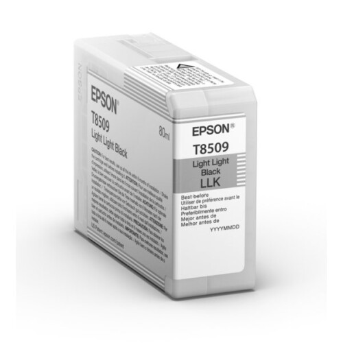 Epson EPSON Cartouche T850900 - Noir - 80ml