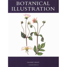 Botanical Illustration