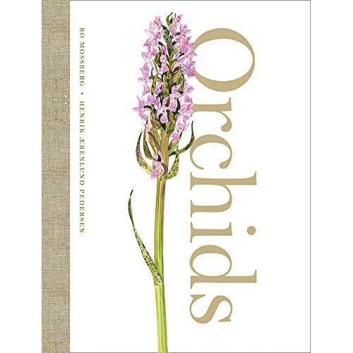 Orchids