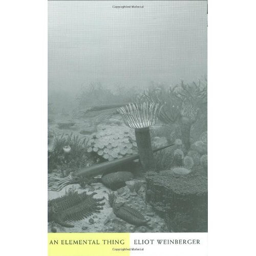 An Elemental Thing (New Directions Paperbook)