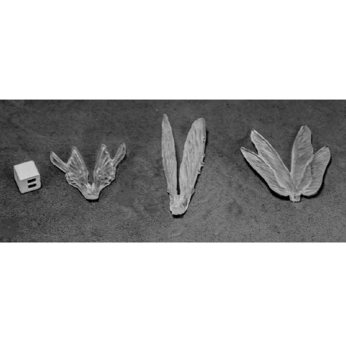 Reaper Miniatures Rem77582 Bones - Clear Wings - Pack von 3