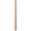 Rotring S0220481 White 1pc(s) ruler 1