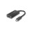 Lenovo LENOVO Adattatore video esterno USB-C a DisplayPort - Per ThinkPad P53s 1