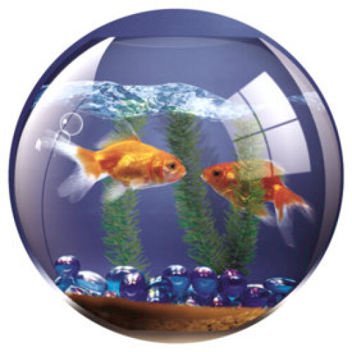 Fellowes Fellowes Round Brite Mat Goldfish Bowl