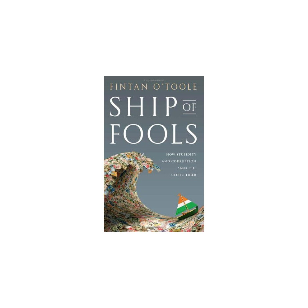 Ship of Fools: How Stupidity and Corruption Sank the Celtic Tige - Image 3