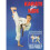 Karate For Kids 1