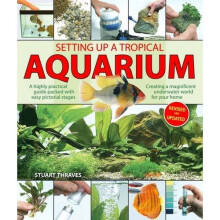 Setting Up a Tropical Aquarium