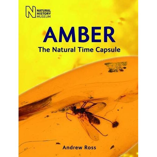 Amber: The Natural Time Capsule