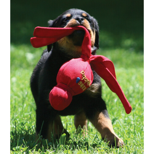 KONG KONG Wubba Dog Toy - Large 2
