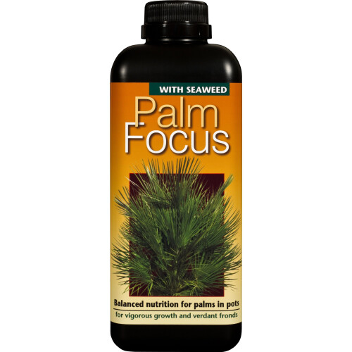 Palm Focus Concentrated Liquid Fertiliser 1 Litre