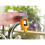 Hozelock Hozelock 2274 Multi Tap Connector 3