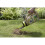 Miracle-Gro Miracle-Gro Patch Magic Grass Seed, Feed and Coir, 1015g Shaker Jar 2