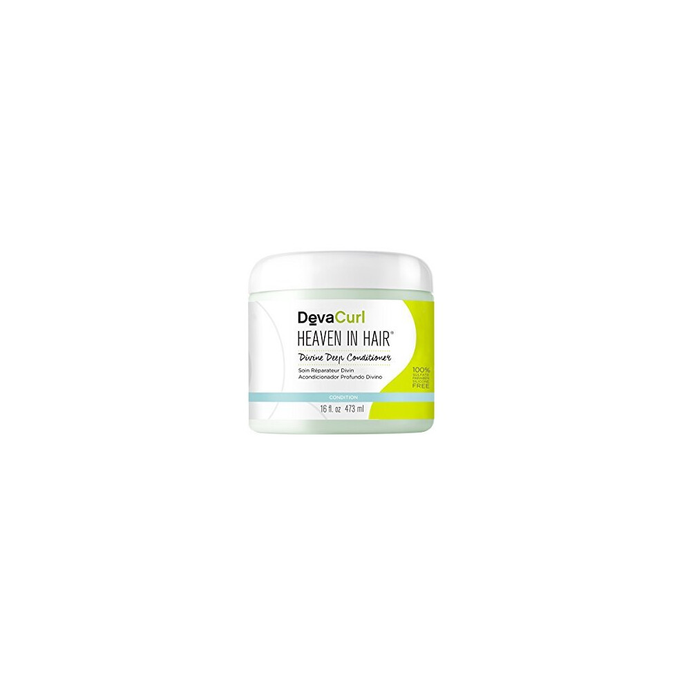 DevaCurl Heaven In Hair Moisture Treatment 16 Fluid Ounce