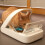 SureFeed Microchip Pet Feeder 5