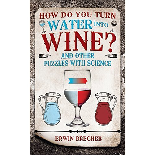How Do You Turn Water into Wine? (Puzzle Books)