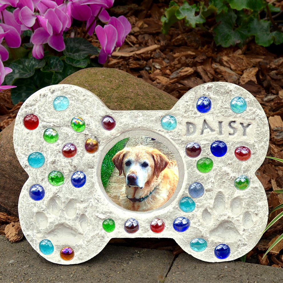 Mosaic Stepping Stone Kit-Pet Photo