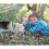 KONG KONG Senior Hundespielzeug, mittelgro?, lila 5