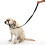 Halti Training Lead, Red 5