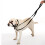 Halti Training Lead, Red 8