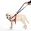 Halti Training Lead, Red 7