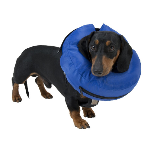 Buster Inflatable Collar, L