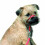 Beaphar Beaphar Gentle Leader Small Black 2