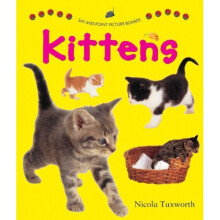 Say and Point Picture Boards: Kittens (Say & Point Picture Book)