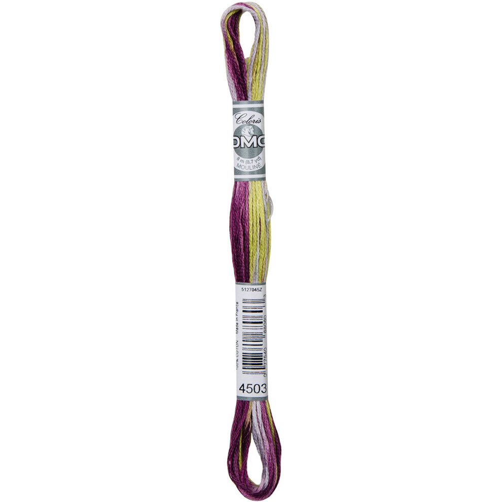 Dmc Coloris 6-Strand Embroidery Cotton Floss 8.7Yd- Wisteria