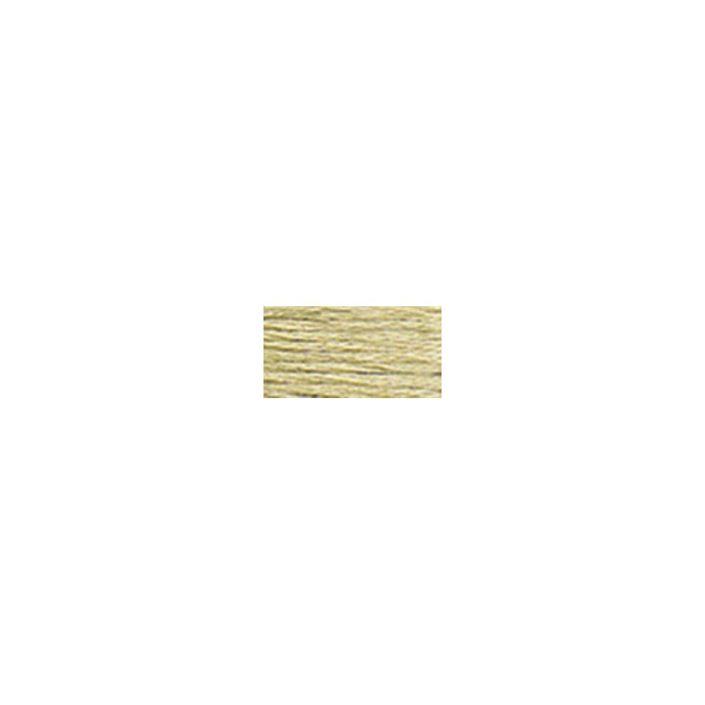 Dmc Pearl Cotton Skein Size 5 27.3Yd-Very Light Drab Brown White,Brown