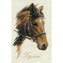 RIOLIS Counted Cross Stitch Kit 9.5"X15.75"-Bulat (15 Count)
