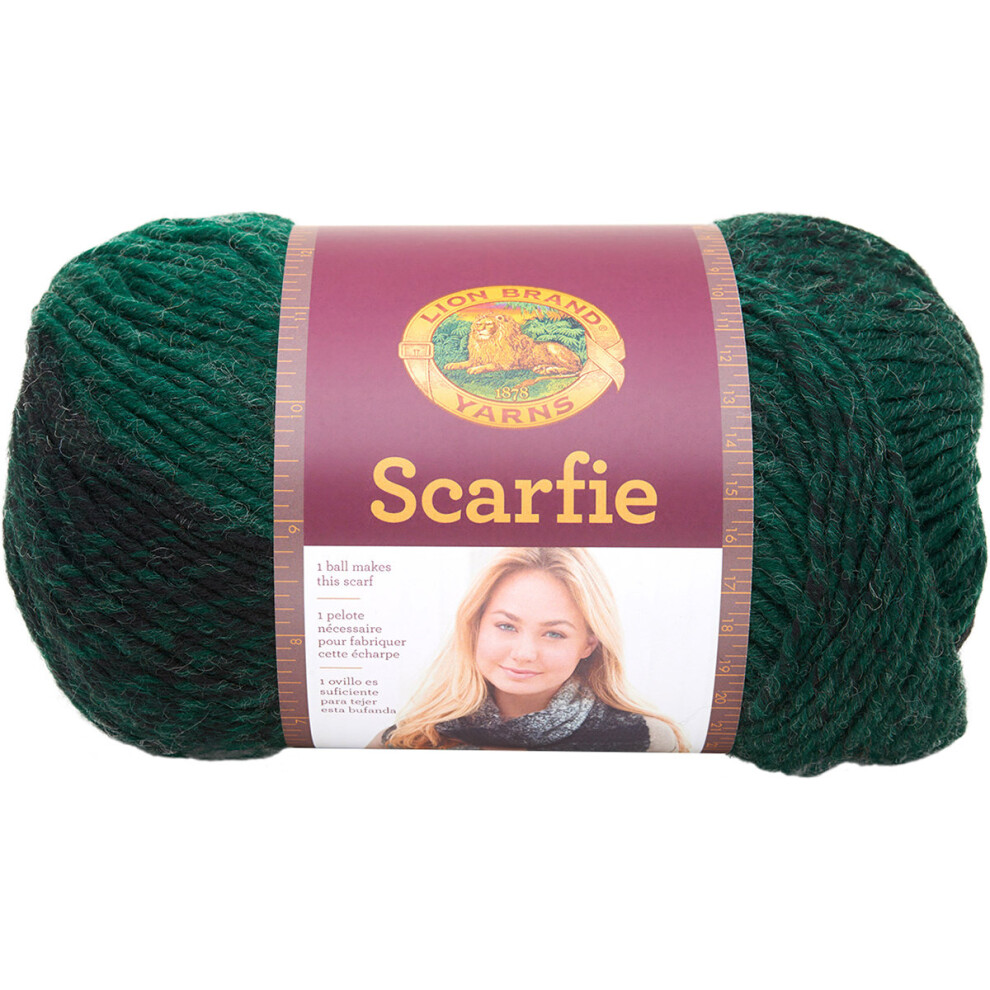 Lion Brand Scarfie Yarn-Forest/Black