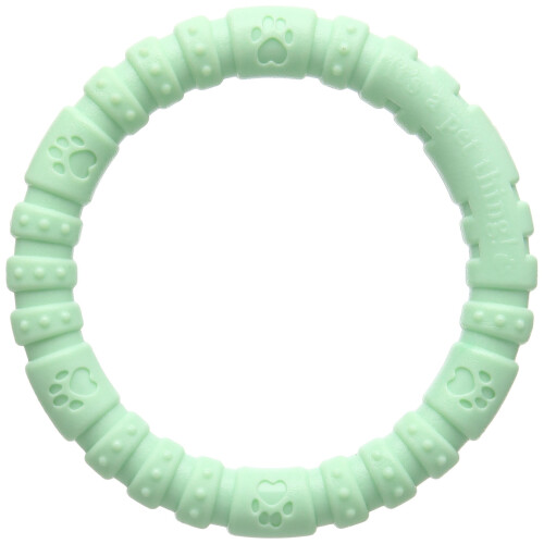 Rosewood Rosewood Nylon Dog Chew Mint Ring, Large 1