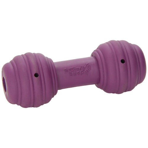 PetSafe PetSafe Busy Buddy Chuckle