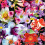 500 Flowers - Book 1
